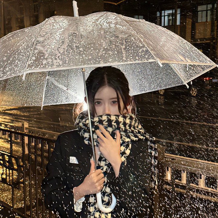 高卢英雄：首领争夺战